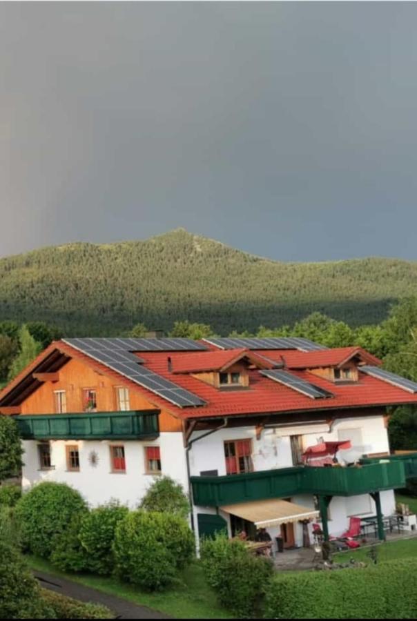 Appartement Hoamat Schmalzreich Andrea