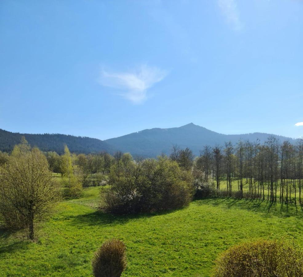 Appartement Hoamat Schmalzreich Andrea *